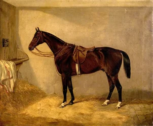 Porträt des Pferdes, das Major Burton bei der Balaklawa-Attacke gehörte